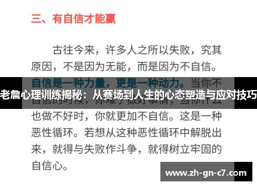 老詹心理训练揭秘：从赛场到人生的心态塑造与应对技巧
