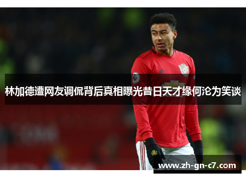 林加德遭网友调侃背后真相曝光昔日天才缘何沦为笑谈