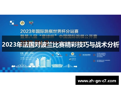 2023年法国对波兰比赛精彩技巧与战术分析