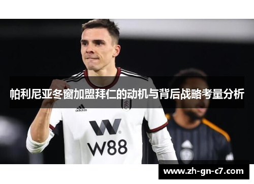 帕利尼亚冬窗加盟拜仁的动机与背后战略考量分析