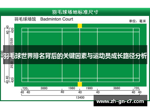 羽毛球世界排名背后的关键因素与运动员成长路径分析