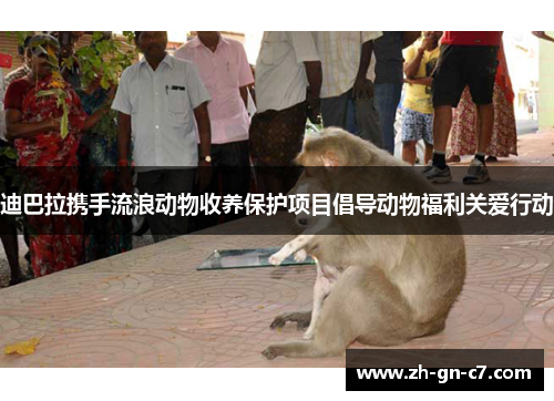 迪巴拉携手流浪动物收养保护项目倡导动物福利关爱行动