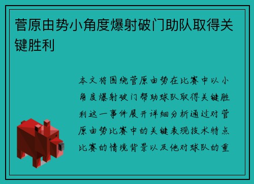 菅原由势小角度爆射破门助队取得关键胜利