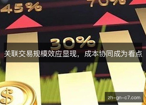 关联交易规模效应显现,成本协同成为看点 关联交易规模效应显现,成本协同成为看点